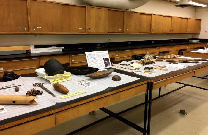 Anthropology Museum items set out in the teaching laboratory space