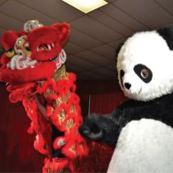 Lion dancing with a Panda at Memorial University’s Chinese New Year Celebration at St. Augustine Church, St. John’s, February 9, 2014 