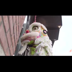 CityStream: LQ Lion Dance Team